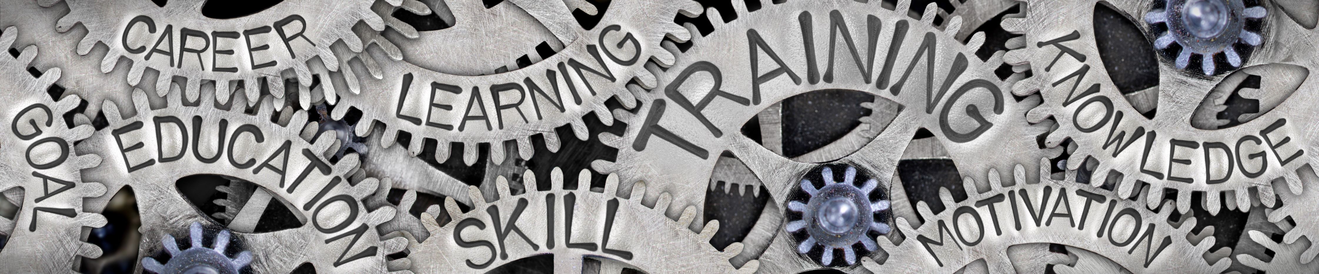 Silver Gears with words "Goal, Career, Education, Learning, Skill, Training, Motivation, Knowledge' embossed on them