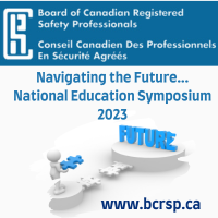 Navigating the Future NES Banner with BCRSP Logo and illustrated man with a blue puzzle piece leading towards the word future and the puzzle piece fits into a gap on a puzzle bridge